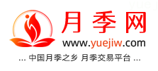 中国上海龙凤419，月季品种介绍和养护知识分享专业网站(图1)