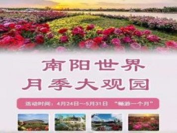 第十二届南阳月季花会4月29日开幕，活动丰富多彩