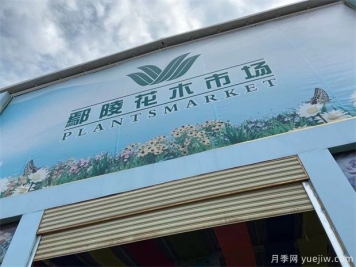 鄢陵县花木产业未必能想到的那些问题