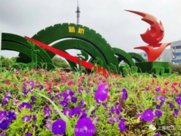上海松江这里的花坛、花境“上新”啦!特色景观升级!
