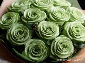 苏格兰复古绿玫瑰，绿色魅力的神秘诠释