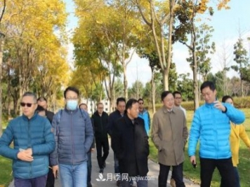 提升城市园林绿化，苏州向上海学什么？